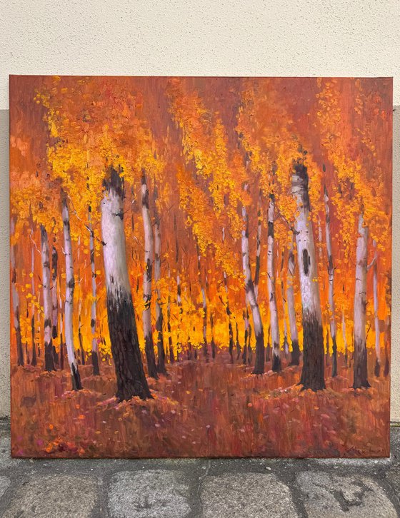 Autumn Birch Forest