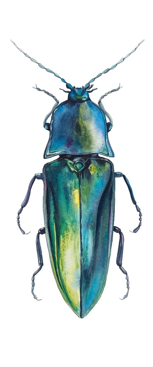 Blue longhorned beetle. by Nataliia Kupchyk