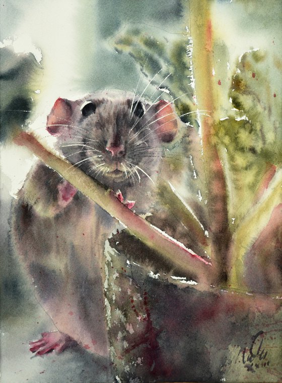 Rat Lilu