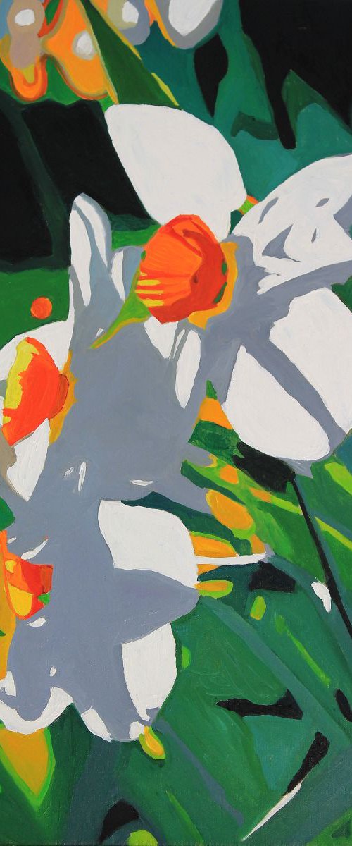 Narcissus by Emma Cownie