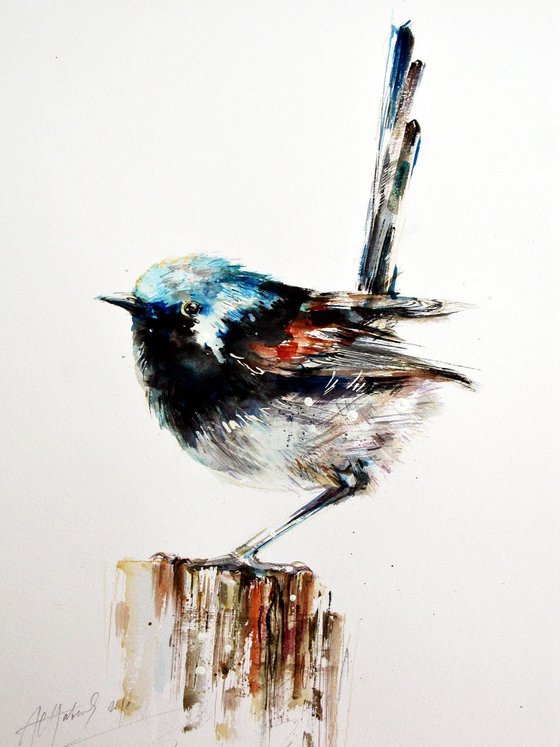 fairy wren A3