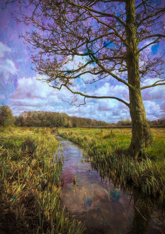 Meadow Stream