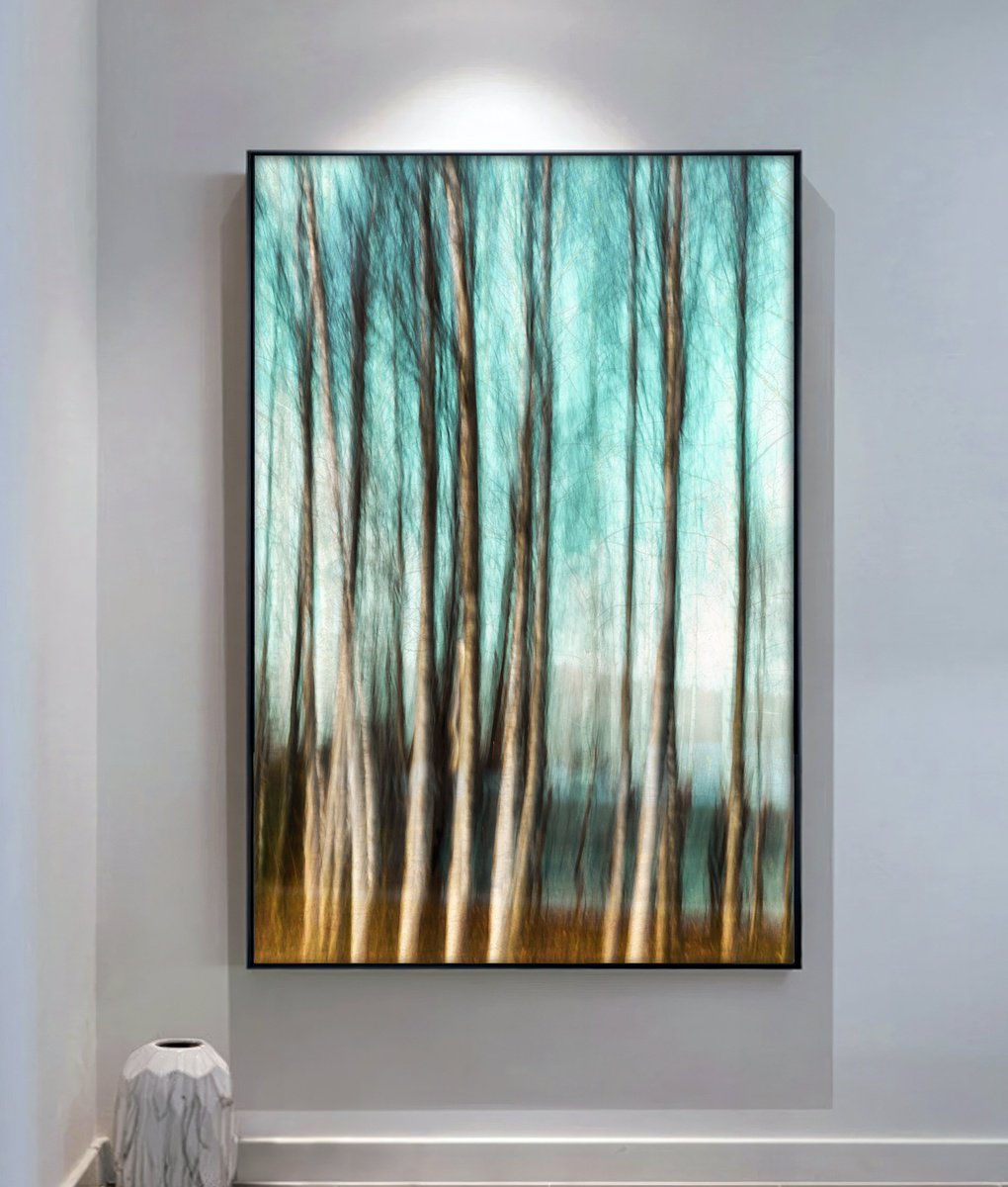 Impressionistic Photograph , Birches (Studio 5) By Karim Carella, 31 X 45, Artwork For Sale On Artfinder