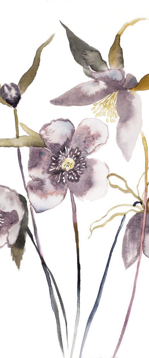Hellebore No. 18 by Elizabeth Becker