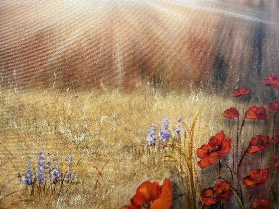 Stillness and Light