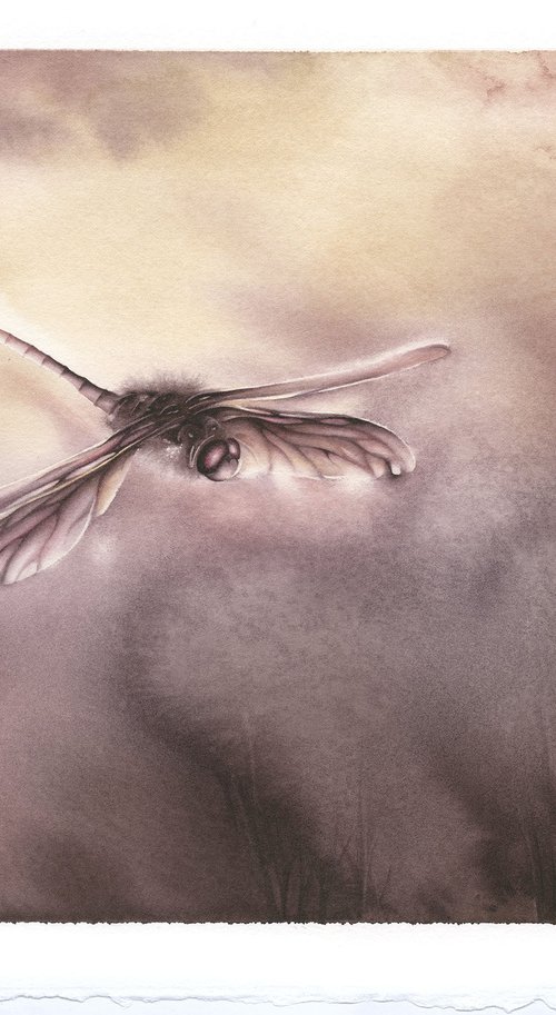 Glimpse VIII - Sunset Dragonfly Watercolor Painting by ieva Janu