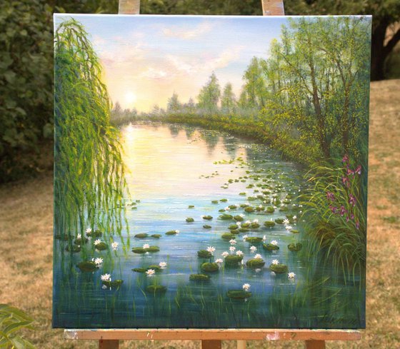 Serene lily pond