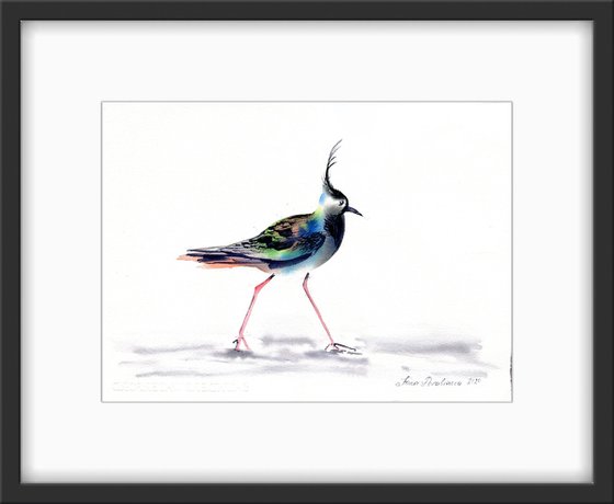 Lapwing, walking to 2021, 37,5x27,5 cm watercolor, still life with bright bird, gift idea, medium