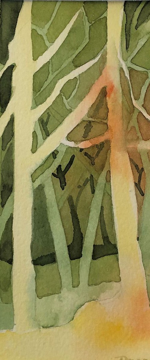 Can't see the forest for the trees by Bronwen Jones