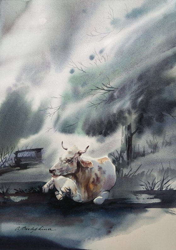 Dagestan. Magical creatures. Cow - white cow in the fog of early morning