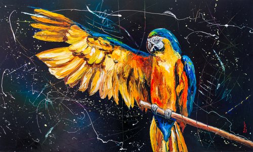 Freedom for parrots ! by Liubov Kuptsova