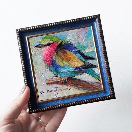 Bird painting original oil 4x4, Lilac-breasted Roller bird small frame art in gold frame