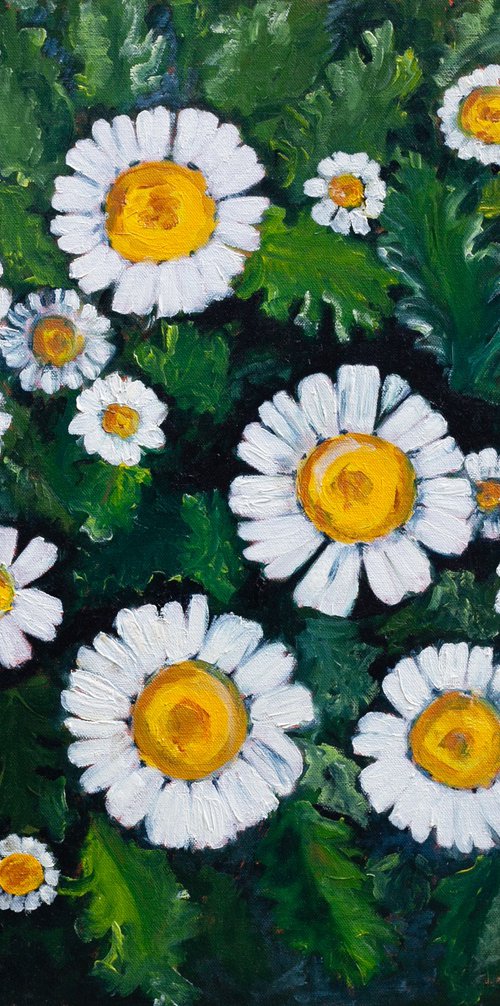 White Daisies by Liudmila Pisliakova