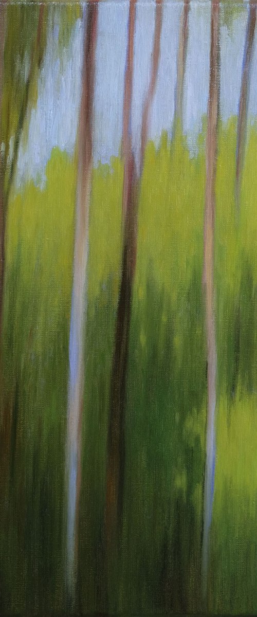 Forest in the morning by Richard Mierniczak