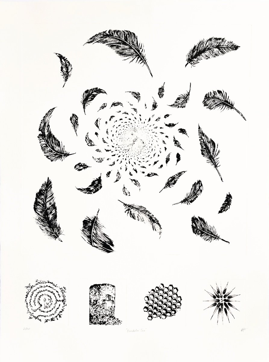 Animal Etchings & Engravings By Michelle Hinshelwood, 22 X 30", Daedalus