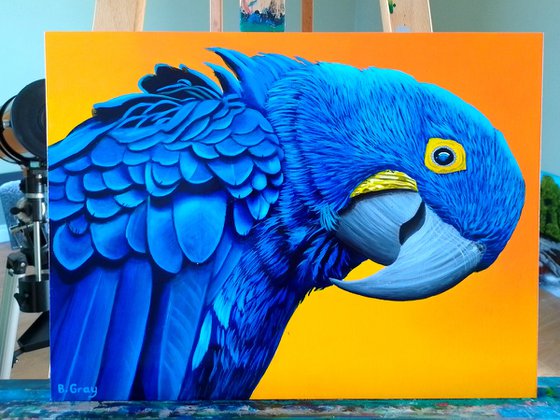 Blue parrot