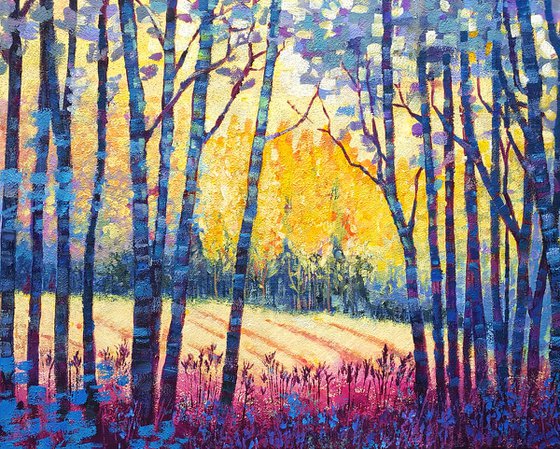 Sunbeams in the forest