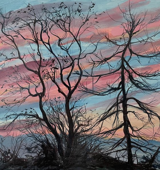 'Winter trees at Sunset'