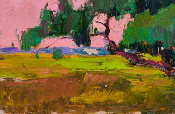 Crooked Tree