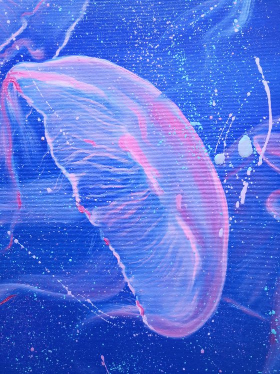 Jellyfish underwater life