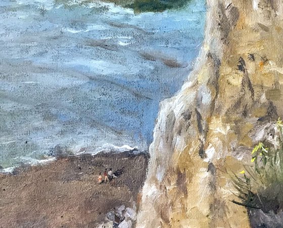 Down here for Lunch - An original oil painting from the cliff top.