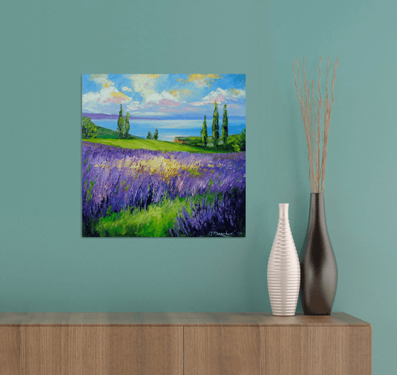 Lavender field