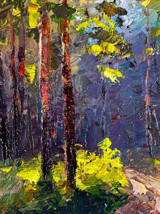 A Walk along a Forest Path