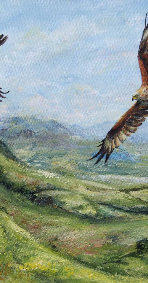 Chilterns View by Ruth  Aslett