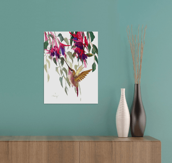 Fuchsia and Hummingbird