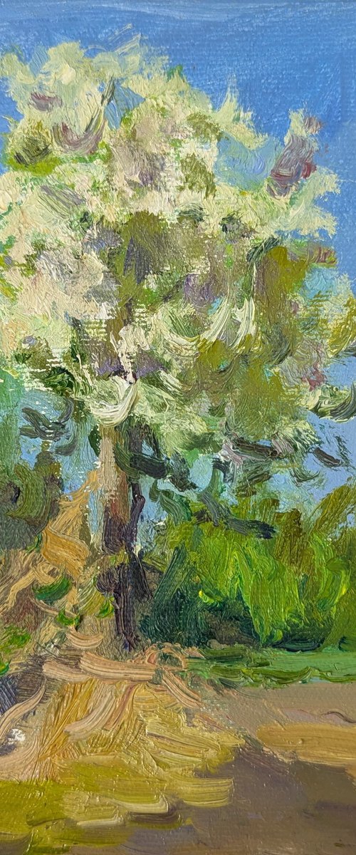 Pear tree by Olga Samar