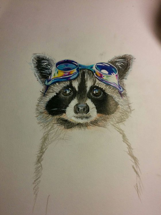 Little Raccoon