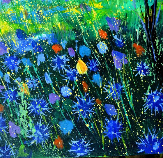 Summer Wild flowers -5623