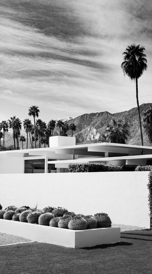 HOLDEN ESTATE - Palm Springs by Harv Greenberg