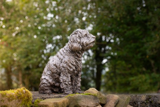 Cavapoo Foundry Bronze Sculpt