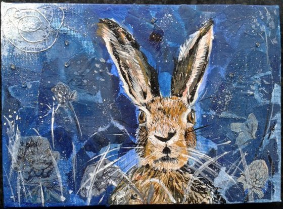 Hare in the moonlight