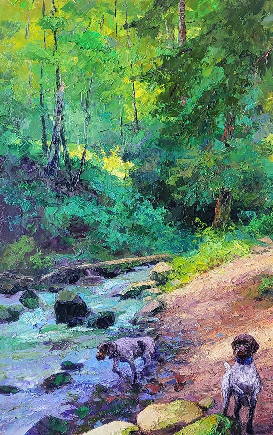 Mountain Stream in the Forest