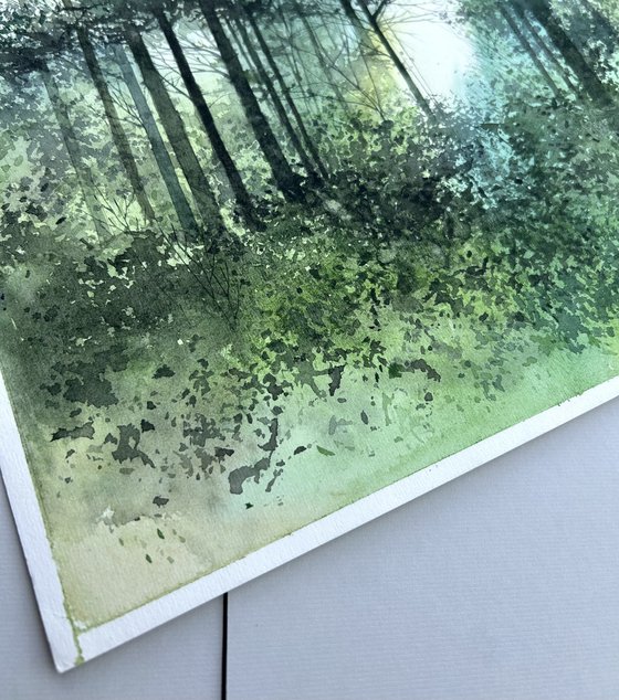 Forest landscape