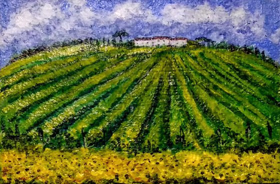 Miniature Italian Vineyards