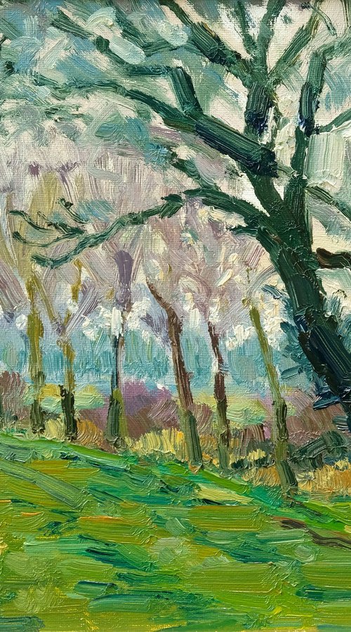 Spring Mist, Brookside by Jeff Parker