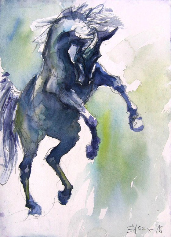 black stallion II