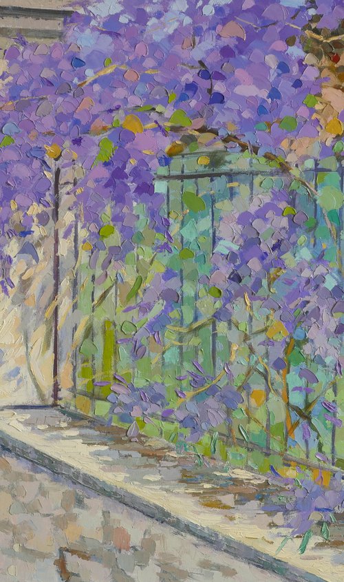 Wisteria by Susanna Montagnino