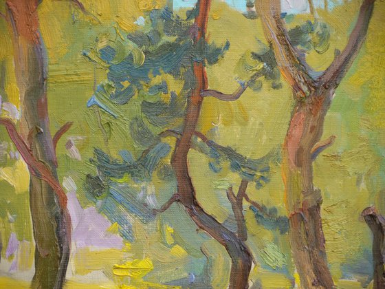Trees in October