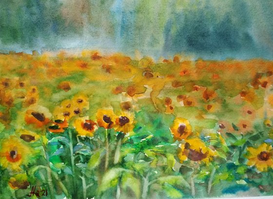 Sunflower field - Landscape - Watercolor