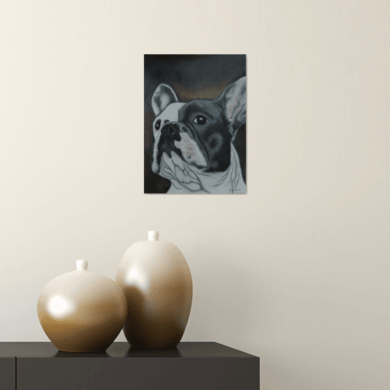 French Bulldog study on paper. Free Shipping