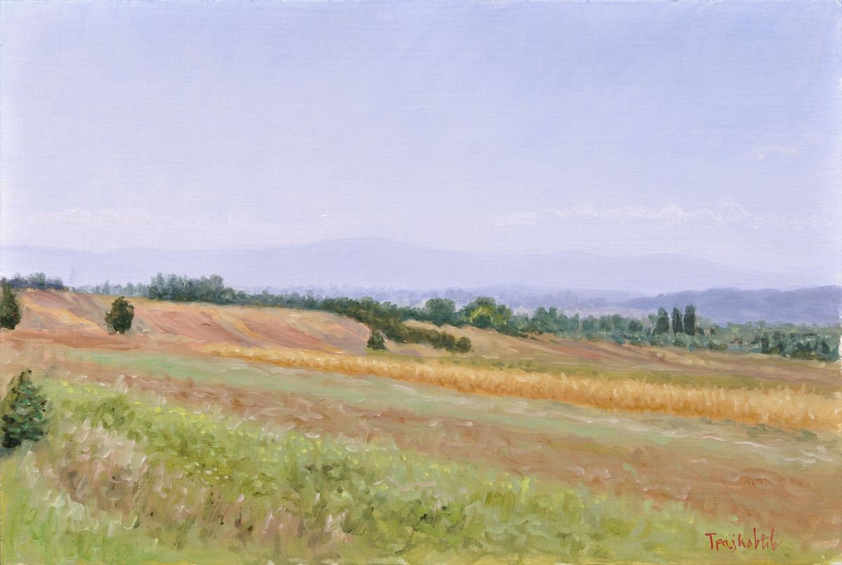 Panorama by Dejan Trajkovic