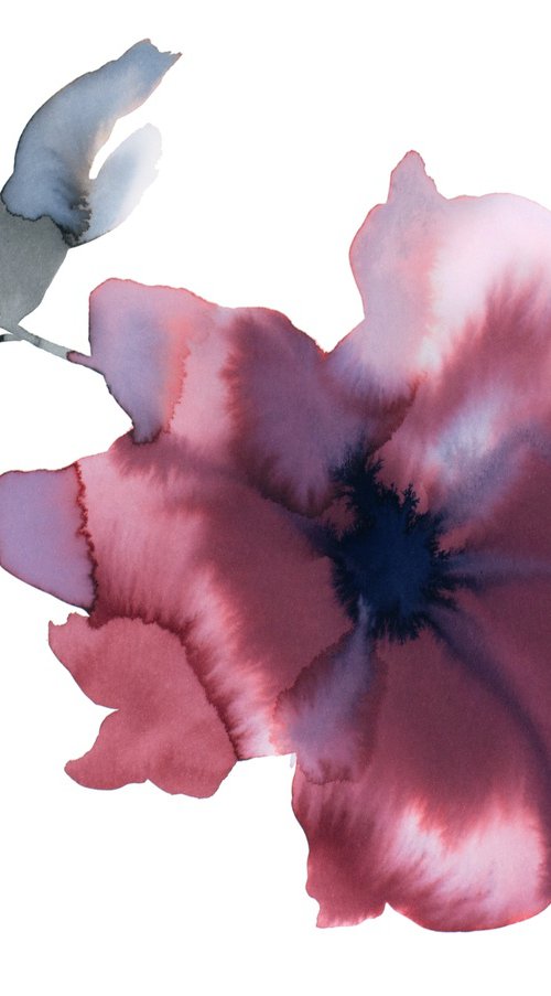 Floral No. 28 by Elizabeth Becker