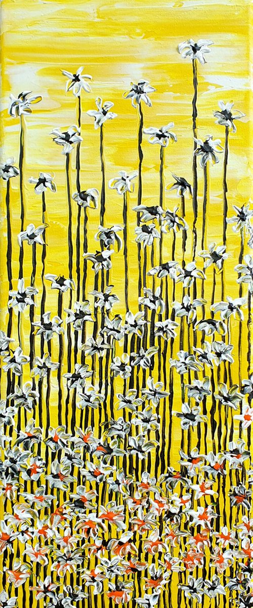Daisy song 4 by Daniel Urbaník