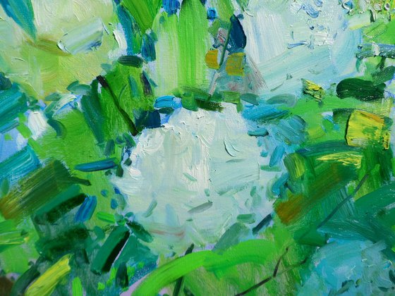 " Hydrangea "