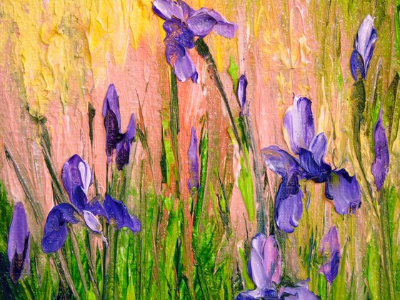 Irises