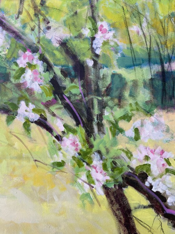 Blossom